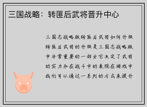 三国战略：转匪后武将晋升中心